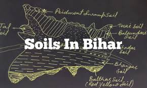types of soils in Bihar