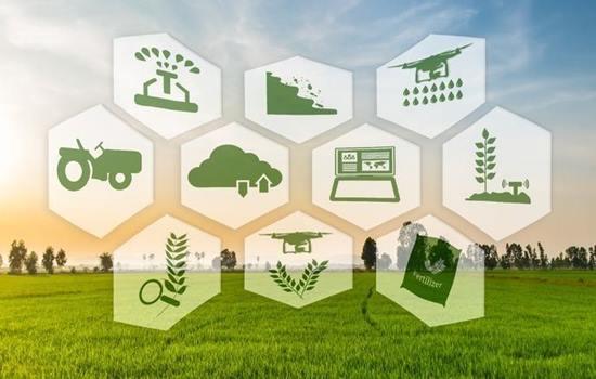 Agriculture in India