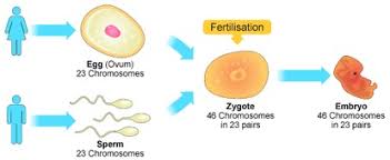 Reproduction Growth and Heredity